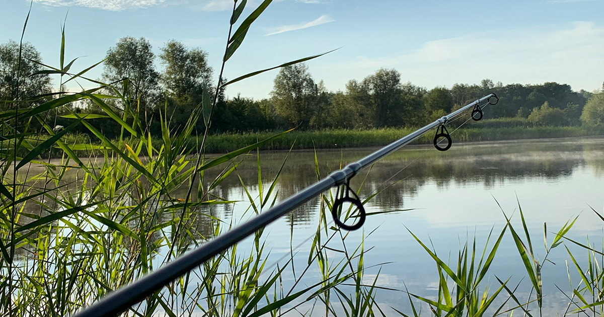 Pêcher la carpe : à quel moment doit-on relancer ses cannes ?