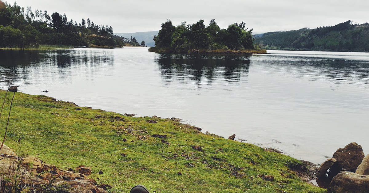 Pêcher la carpe en étang privé ou étang public ?