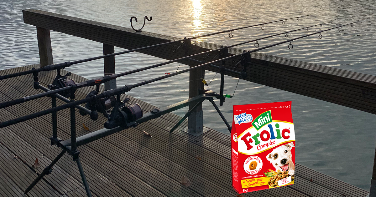 Pêcher la carpe au Frolic, l'appât ultime des pêches rapides